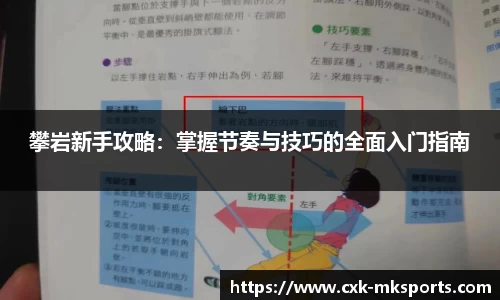 mk体育APP